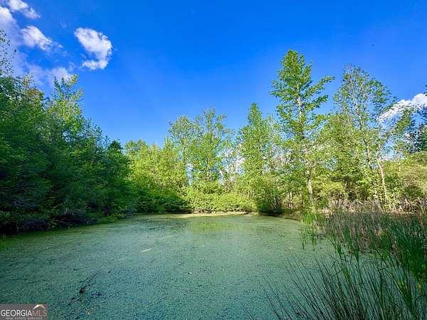 10 Acres of Residential Land for Sale in Roopville, Georgia