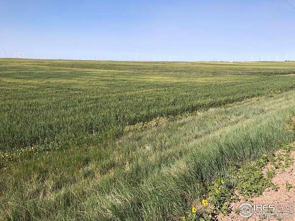 560 Acres of Land for Sale in Briggsdale, Colorado
