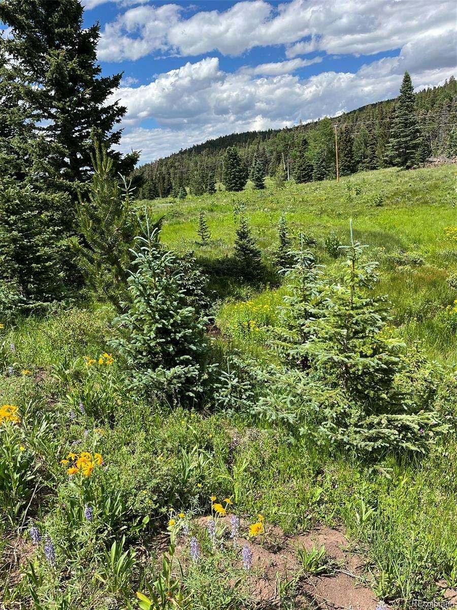 1.45 Acres of Residential Land for Sale in Fort Garland, Colorado