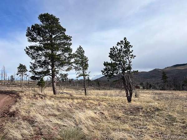 2.57 Acres of Residential Land for Sale in Fort Garland, Colorado