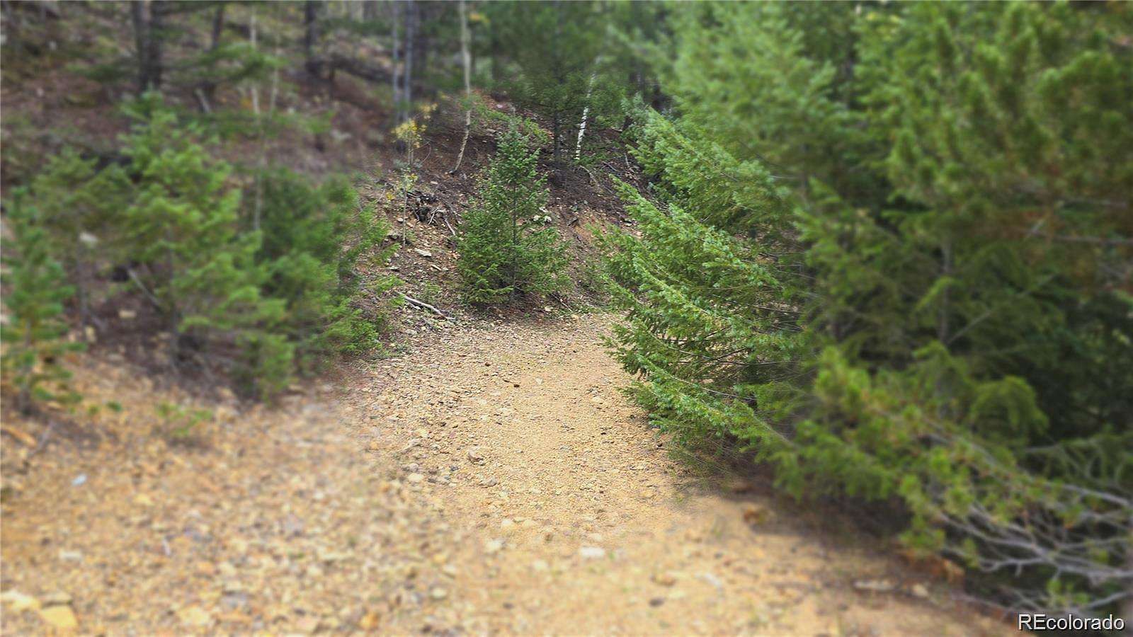 9.42 Acres of Residential Land for Sale in Dumont, Colorado