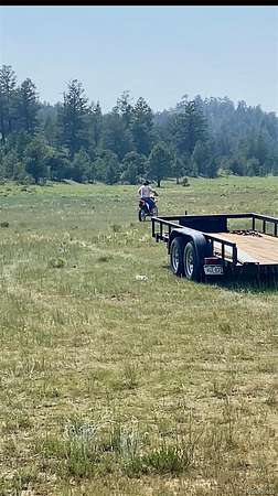 5 Acres of Residential Land for Sale in Hartsel, Colorado