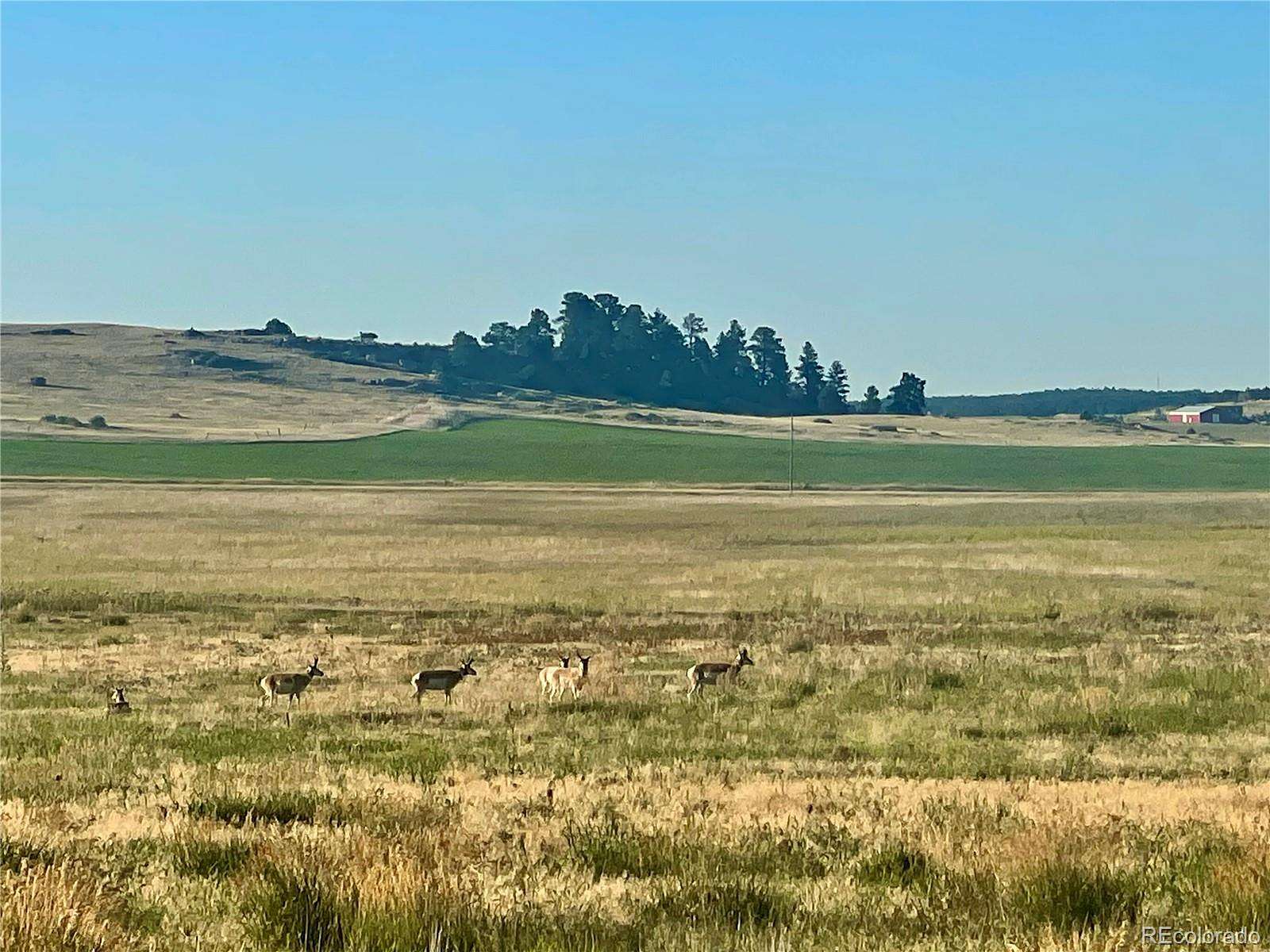 10 Acres of Residential Land for Sale in Elbert, Colorado