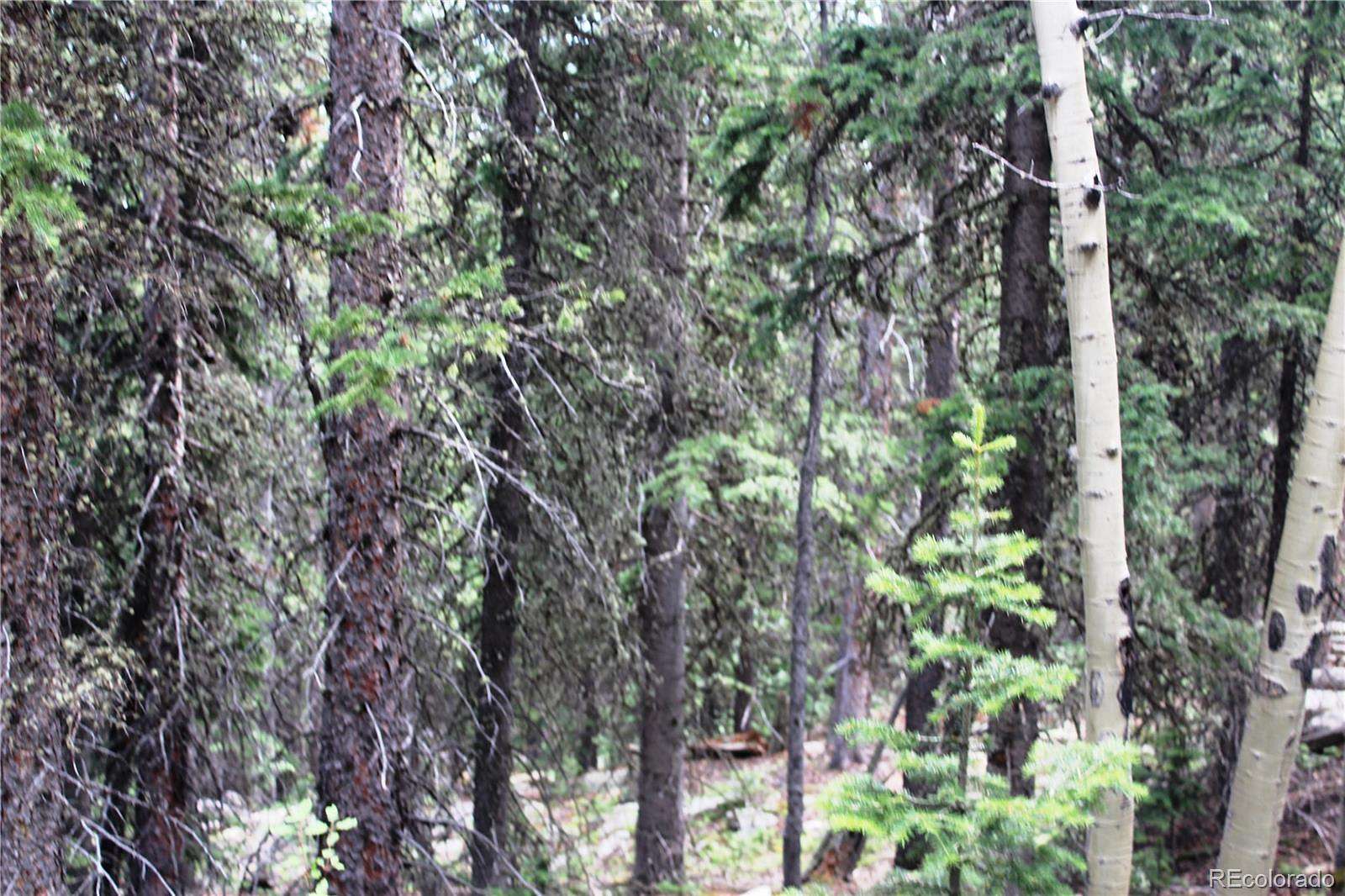 30 Acres of Recreational Land for Sale in Idaho Springs, Colorado