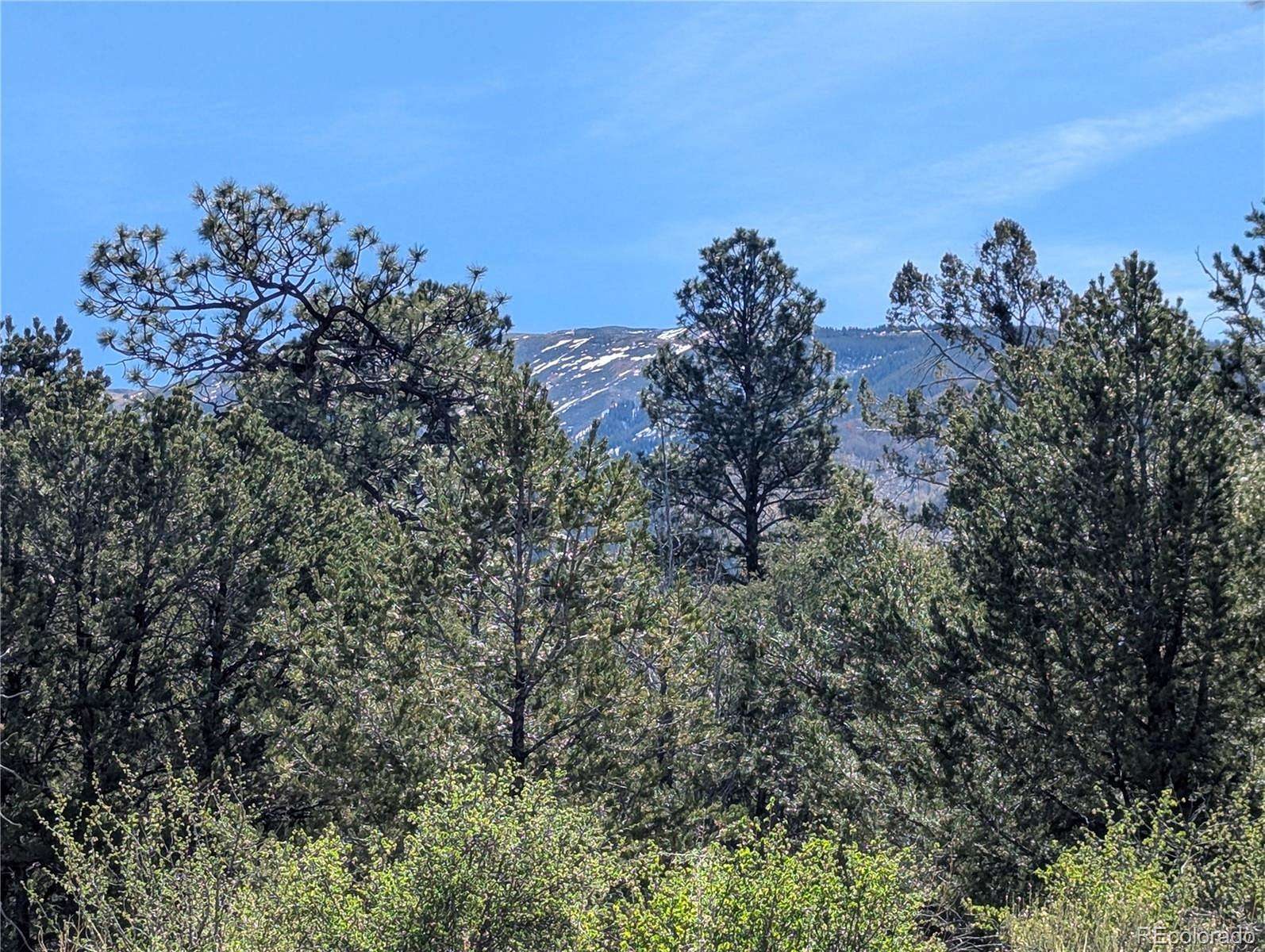 1 Acre of Residential Land for Sale in Mosca, Colorado