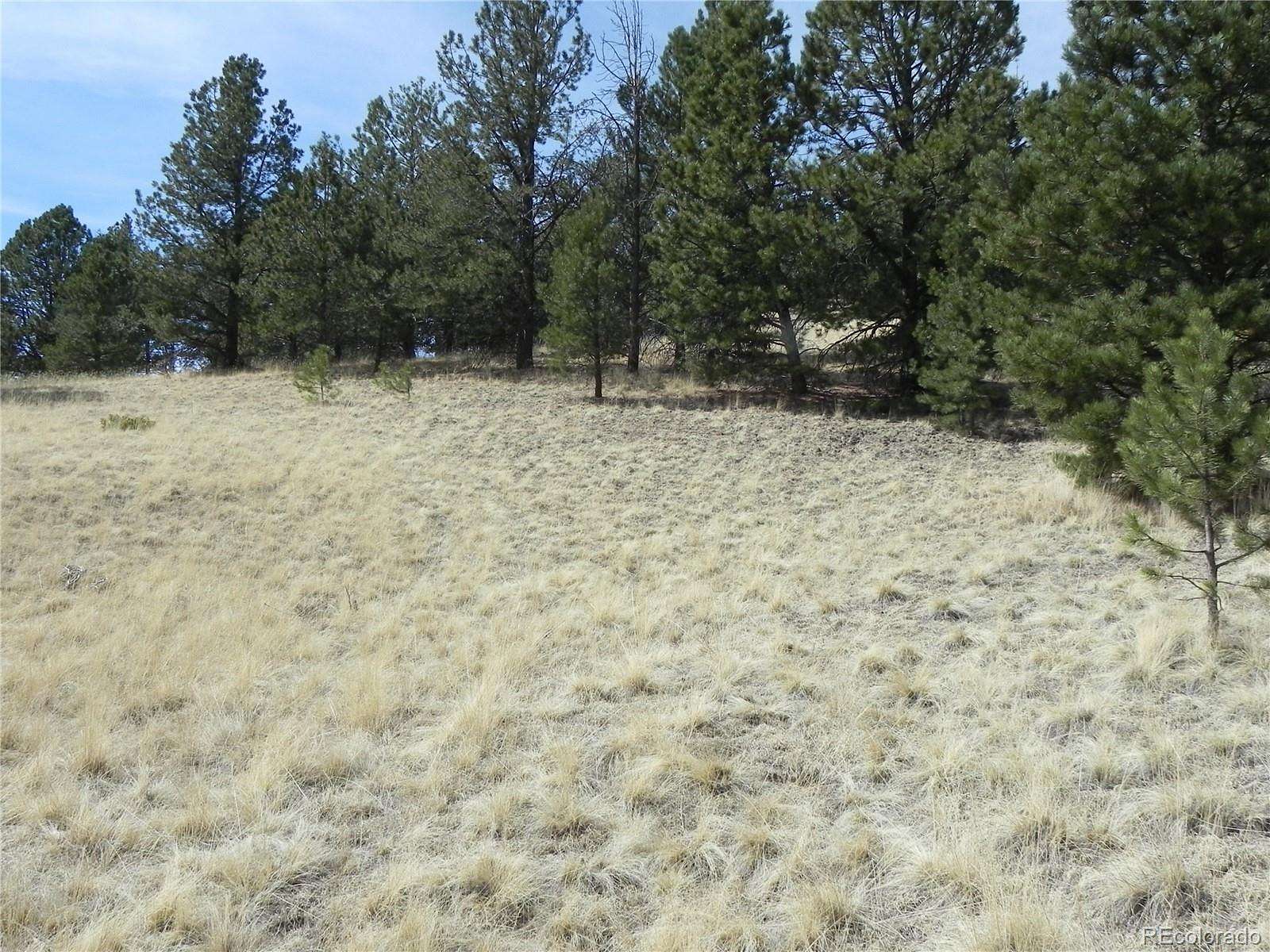 0.99 Acres of Residential Land for Sale in Cripple Creek, Colorado