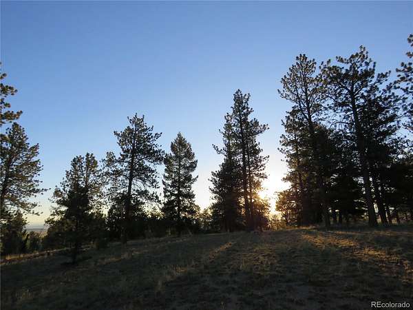 2.5 Acres of Residential Land for Sale in Hartsel, Colorado