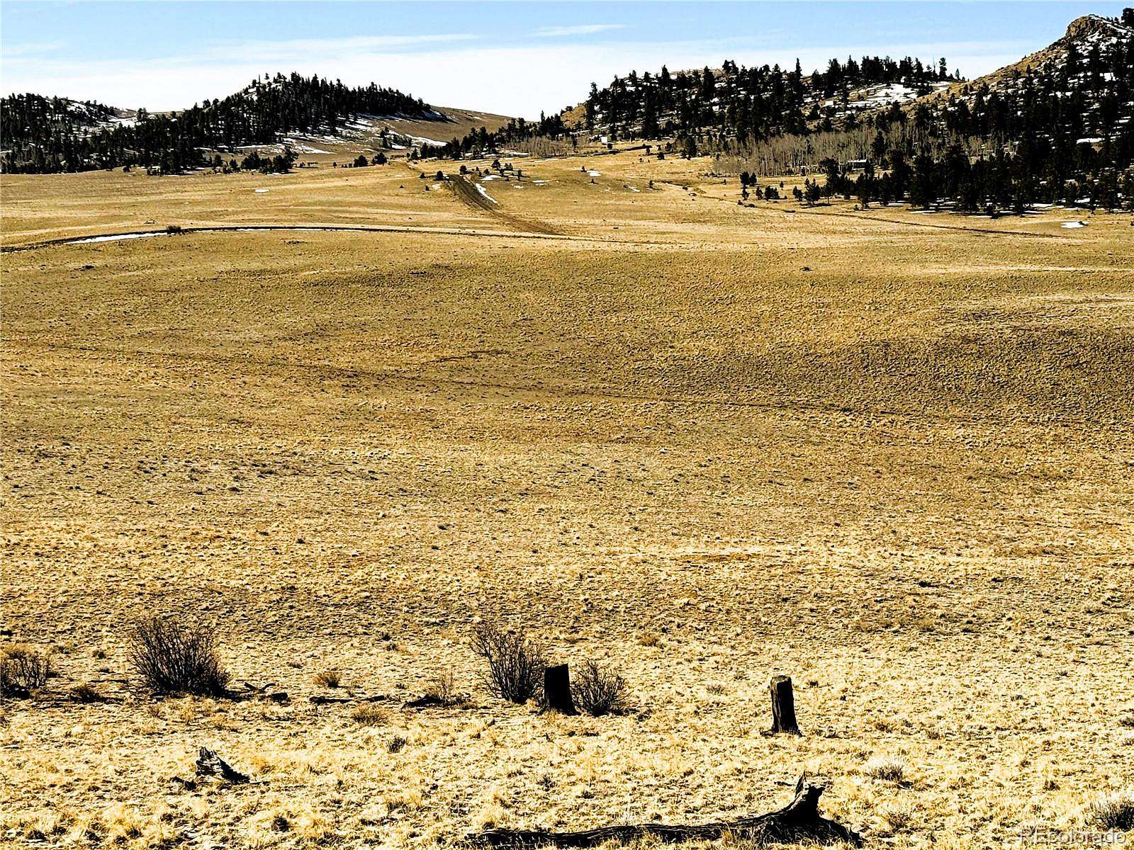 10.2 Acres of Recreational & Residential Land for Sale in Hartsel, Colorado