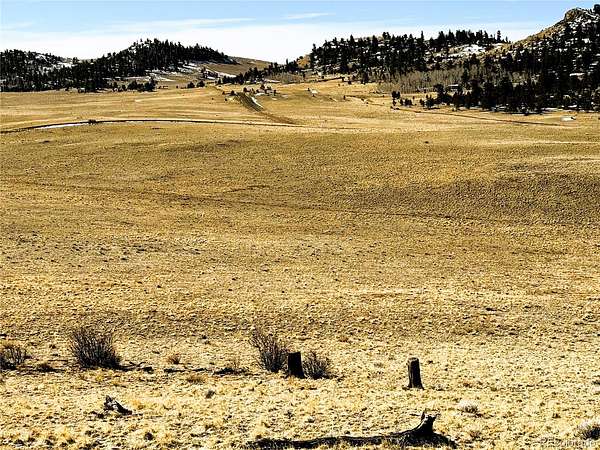 10.2 Acres of Recreational & Residential Land for Sale in Hartsel, Colorado