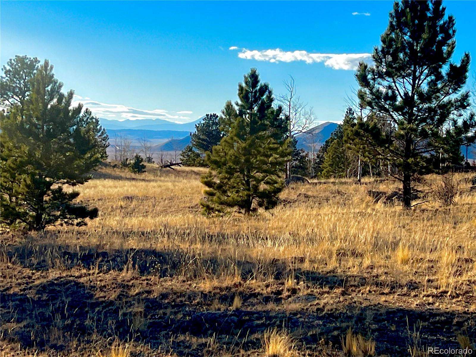 1.5 Acres of Residential Land for Sale in Lake George, Colorado