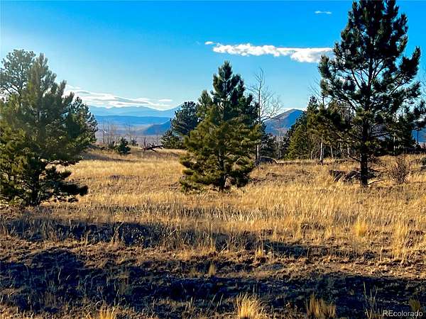 1.5 Acres of Residential Land for Sale in Lake George, Colorado