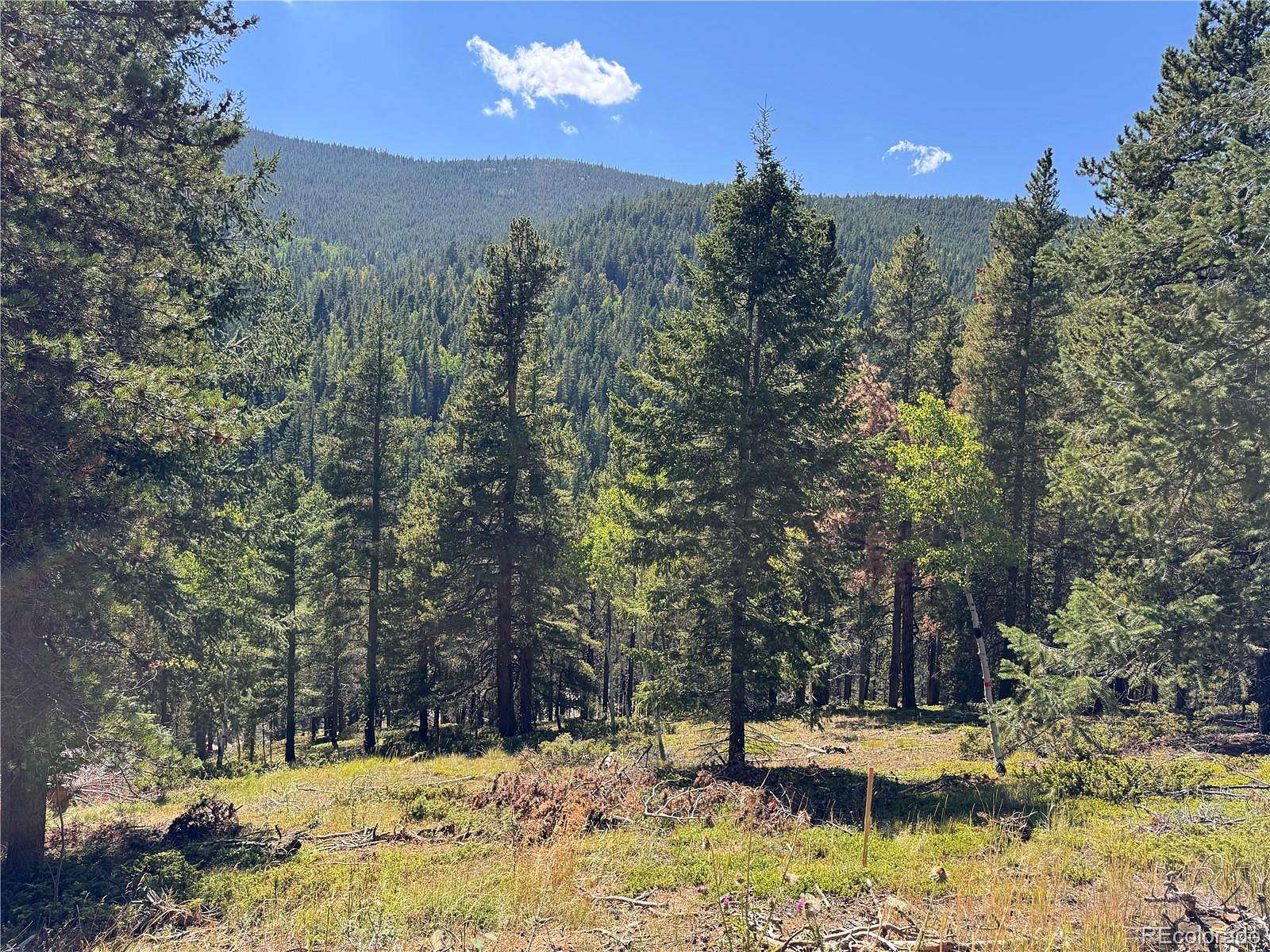 1.59 Acres of Residential Land for Sale in Idaho Springs, Colorado