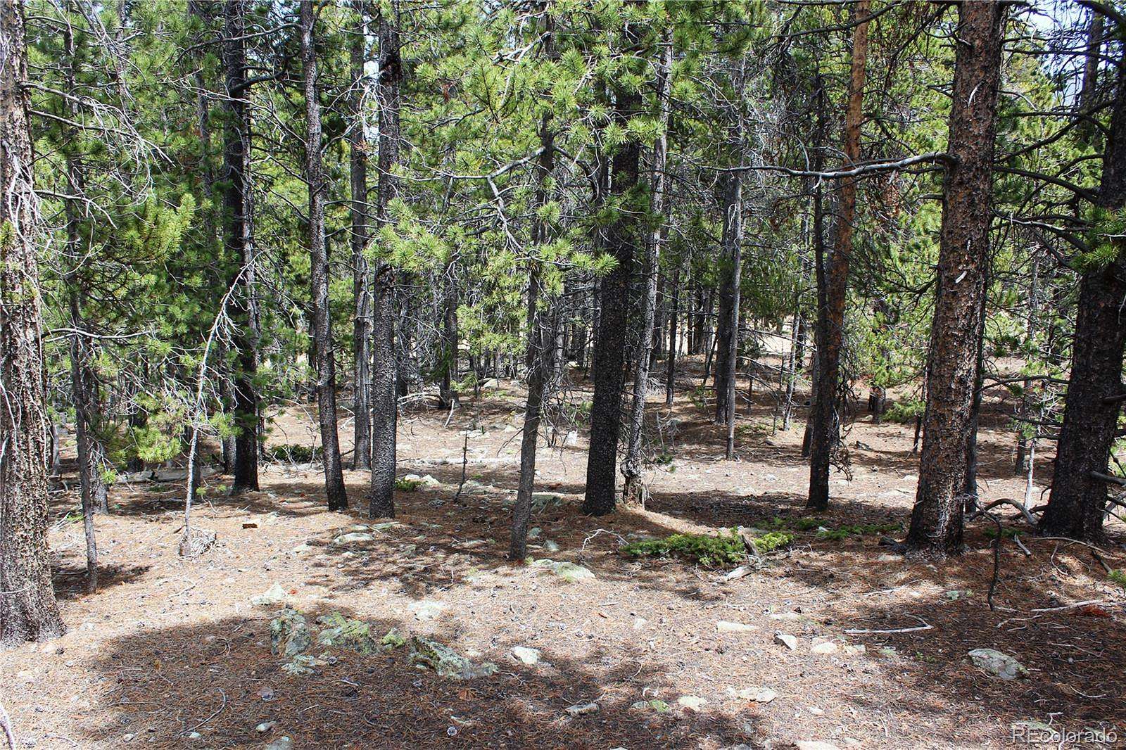 4.24 Acres of Residential Land for Sale in Black Hawk, Colorado