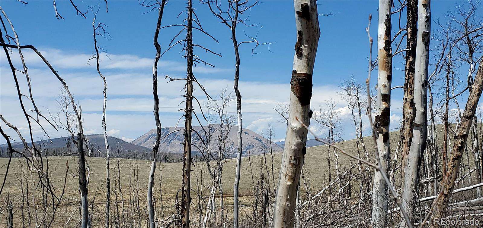 2 Acres of Residential Land for Sale in Fort Garland, Colorado