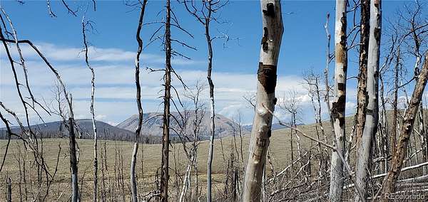 2 Acres of Residential Land for Sale in Fort Garland, Colorado