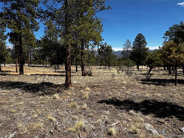 2.6 Acres of Residential Land for Sale in Buena Vista, Colorado