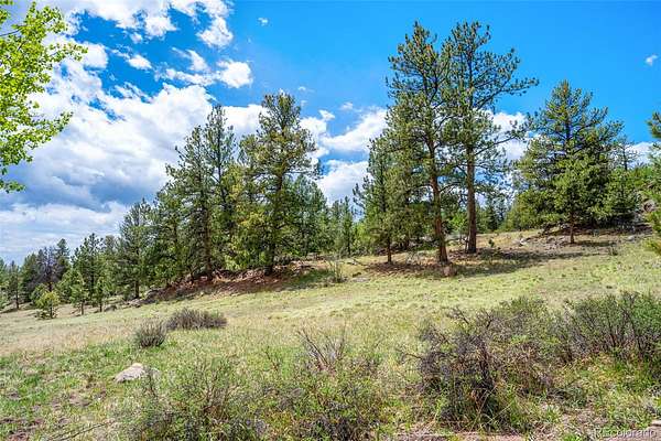 5 Acres of Residential Land for Sale in Guffey, Colorado