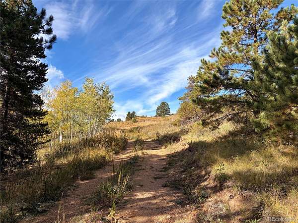3.7 Acres of Residential Land for Sale in Central City, Colorado