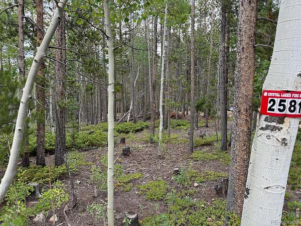 2.27 Acres of Residential Land for Sale in Red Feather Lakes, Colorado