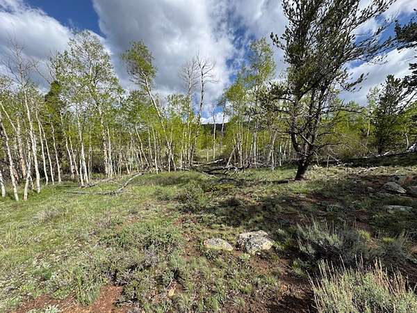 2.46 Acres of Residential Land for Sale in Red Feather Lakes, Colorado