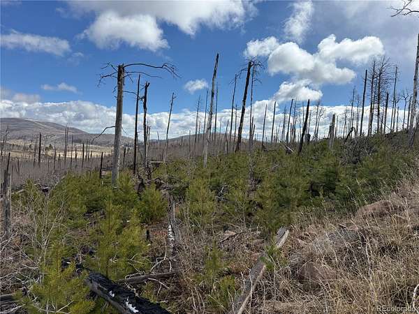 1.68 Acres of Residential Land for Sale in Fort Garland, Colorado