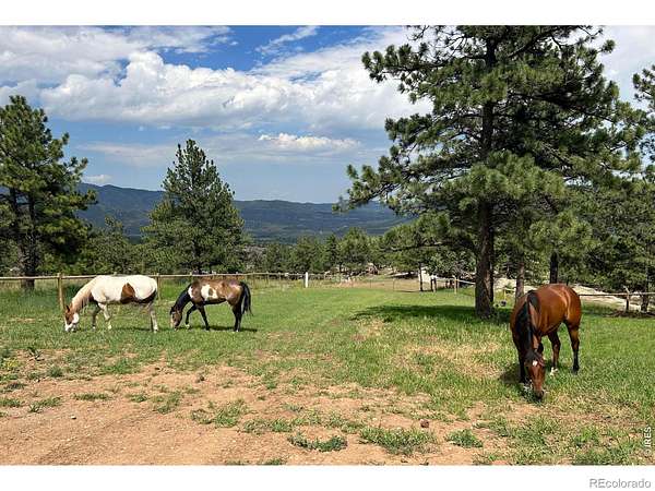 7.45 Acres of Land with Home for Sale in Lyons, Colorado