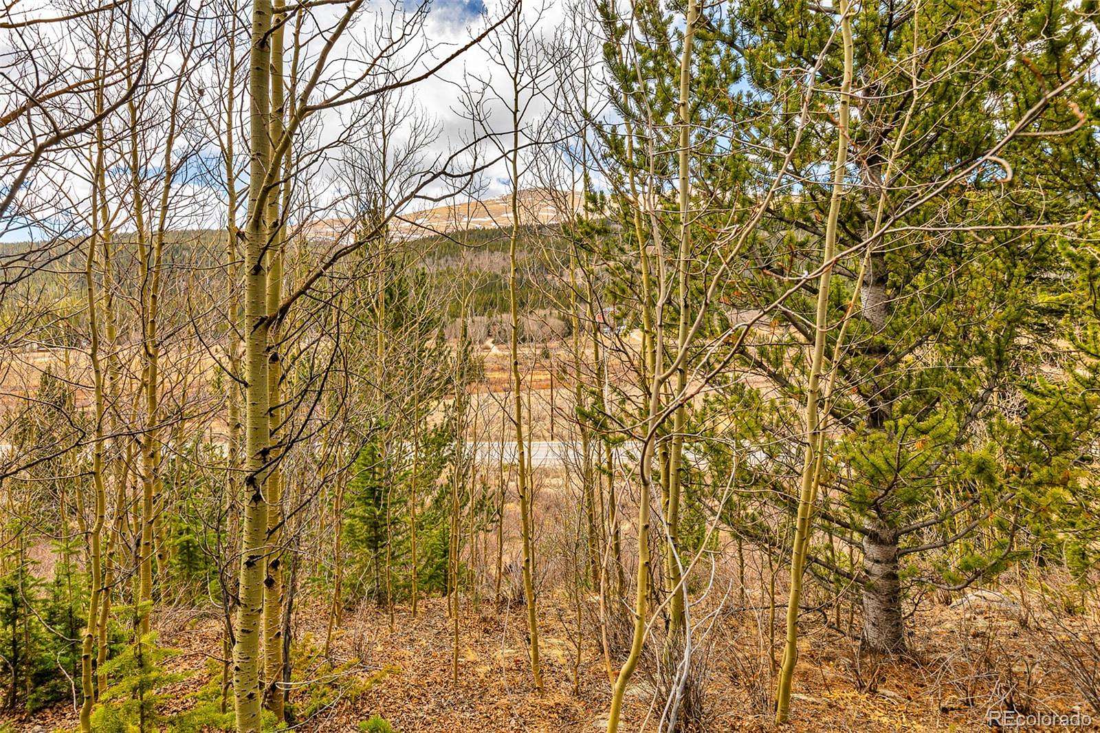 3.79 Acres of Residential Land for Sale in Alma, Colorado