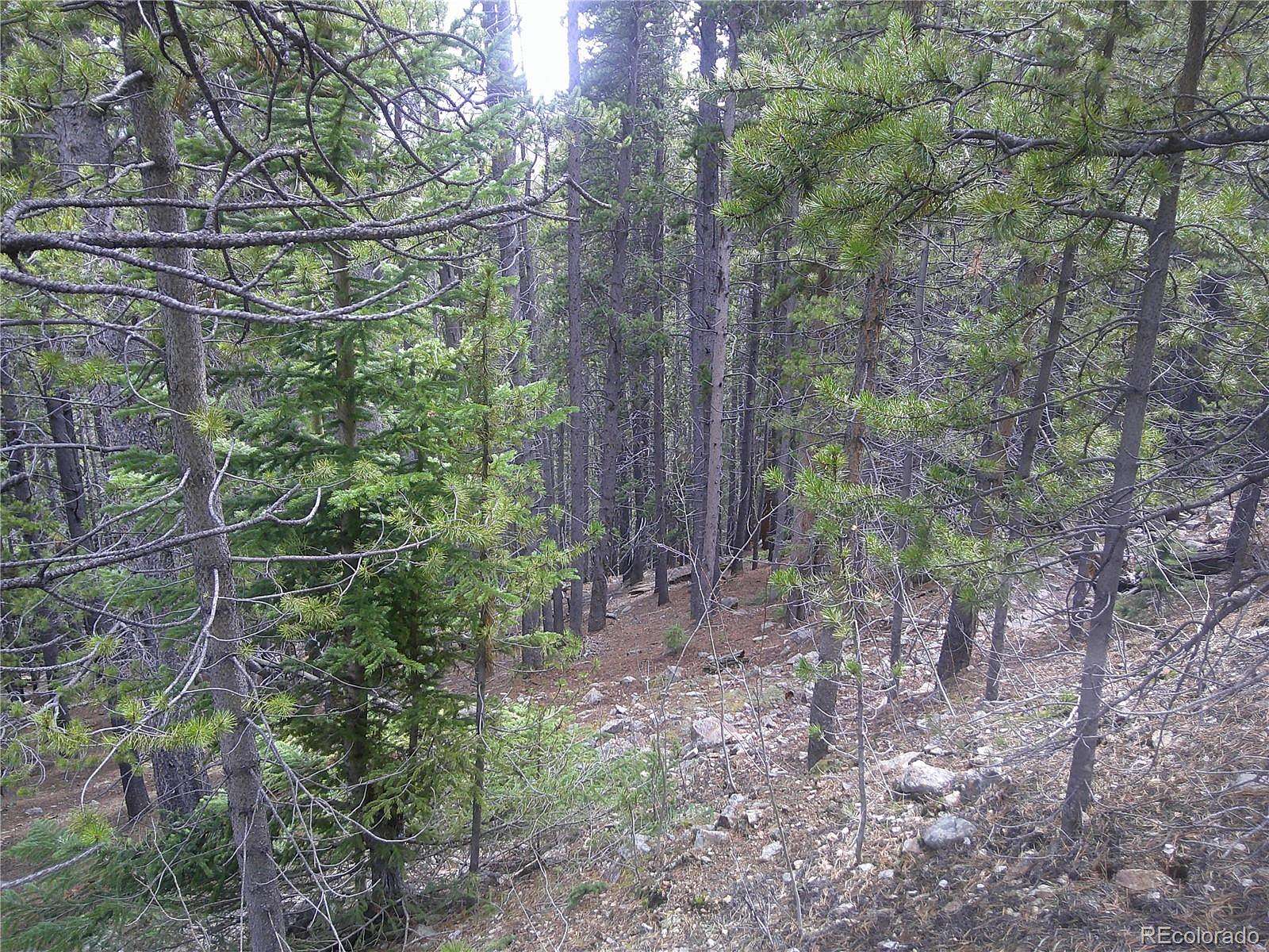 0.43 Acres of Residential Land for Sale in Idaho Springs, Colorado