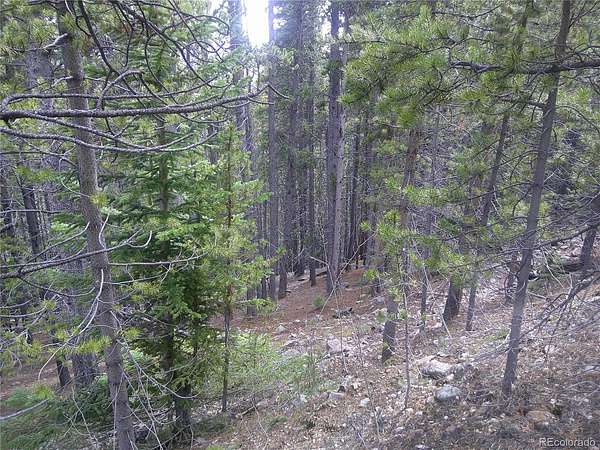 0.43 Acres of Residential Land for Sale in Idaho Springs, Colorado