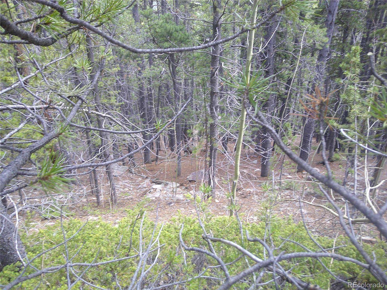 0.4 Acres of Residential Land for Sale in Idaho Springs, Colorado