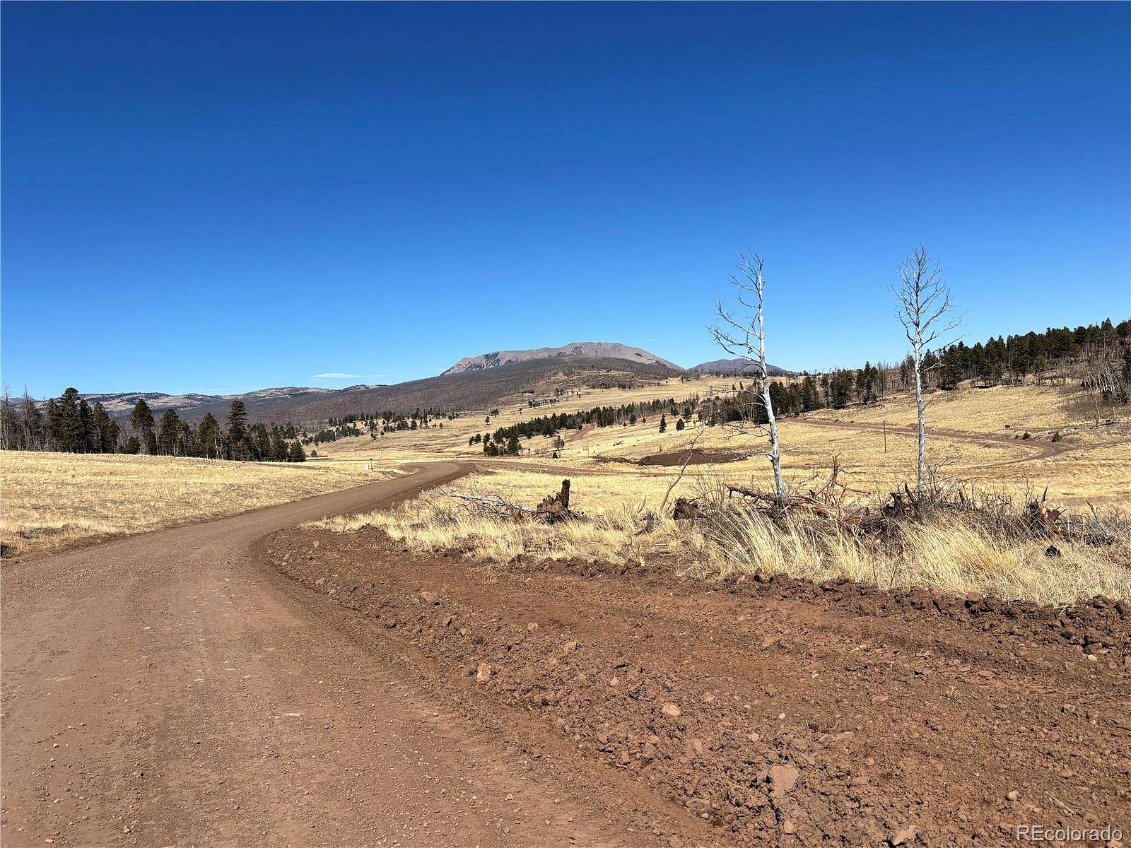 1.3 Acres of Land for Sale in Fort Garland, Colorado
