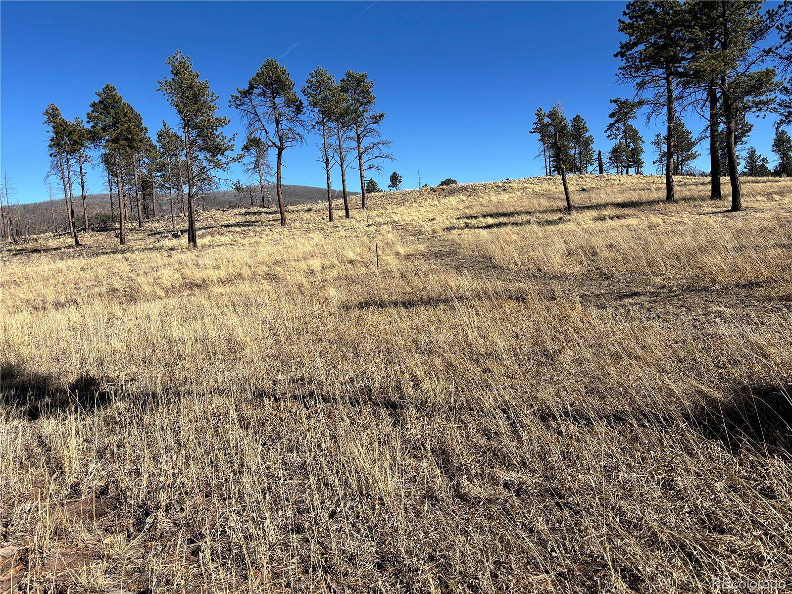 1.6 Acres of Land for Sale in Fort Garland, Colorado