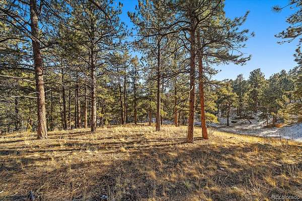 14.5 Acres of Land for Sale in Pine Grove, Colorado