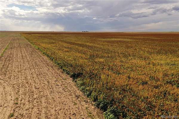 345 Acres of Agricultural Land for Sale in Seibert, Colorado