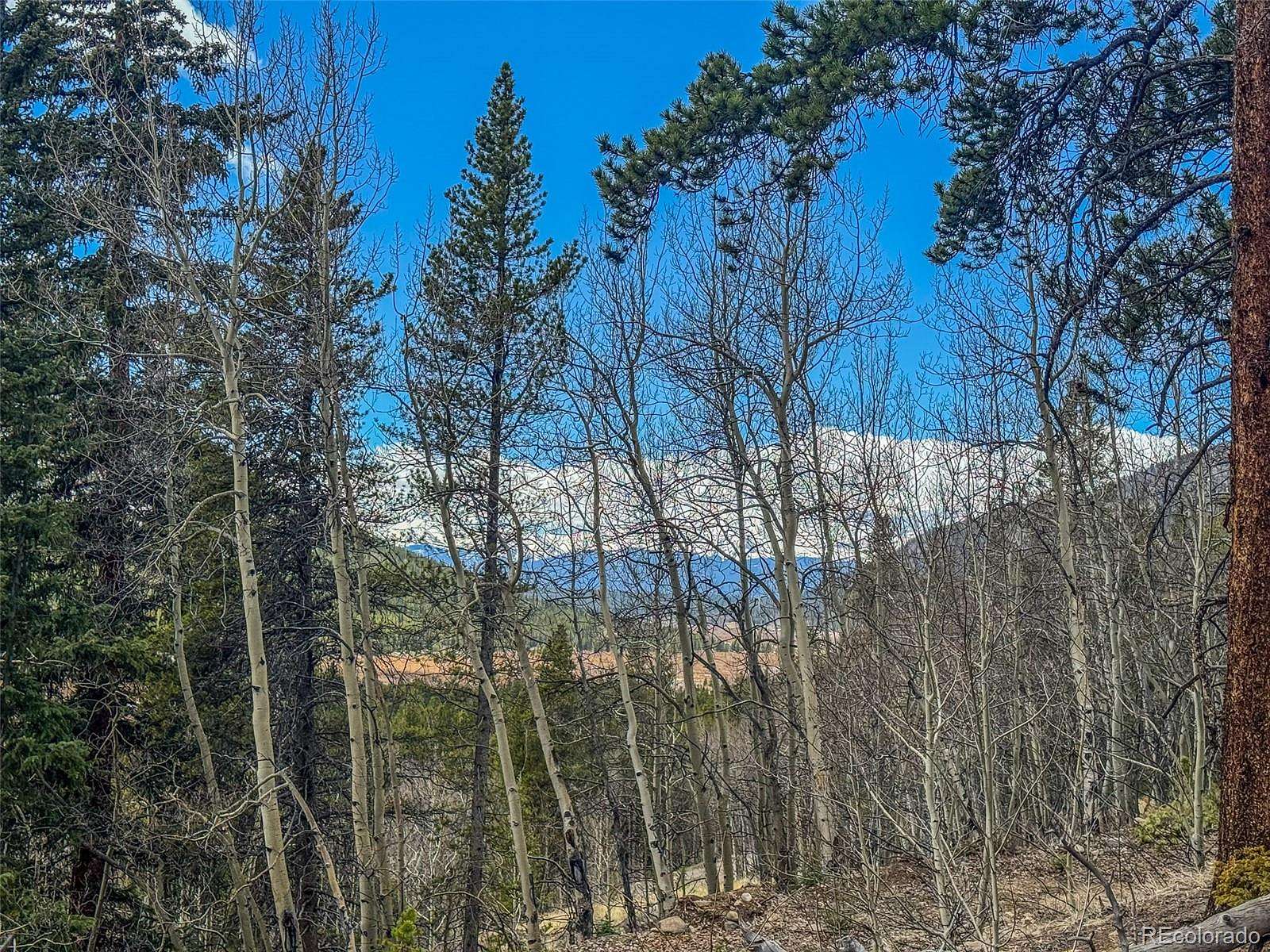 3 Acres of Residential Land for Sale in Leadville, Colorado