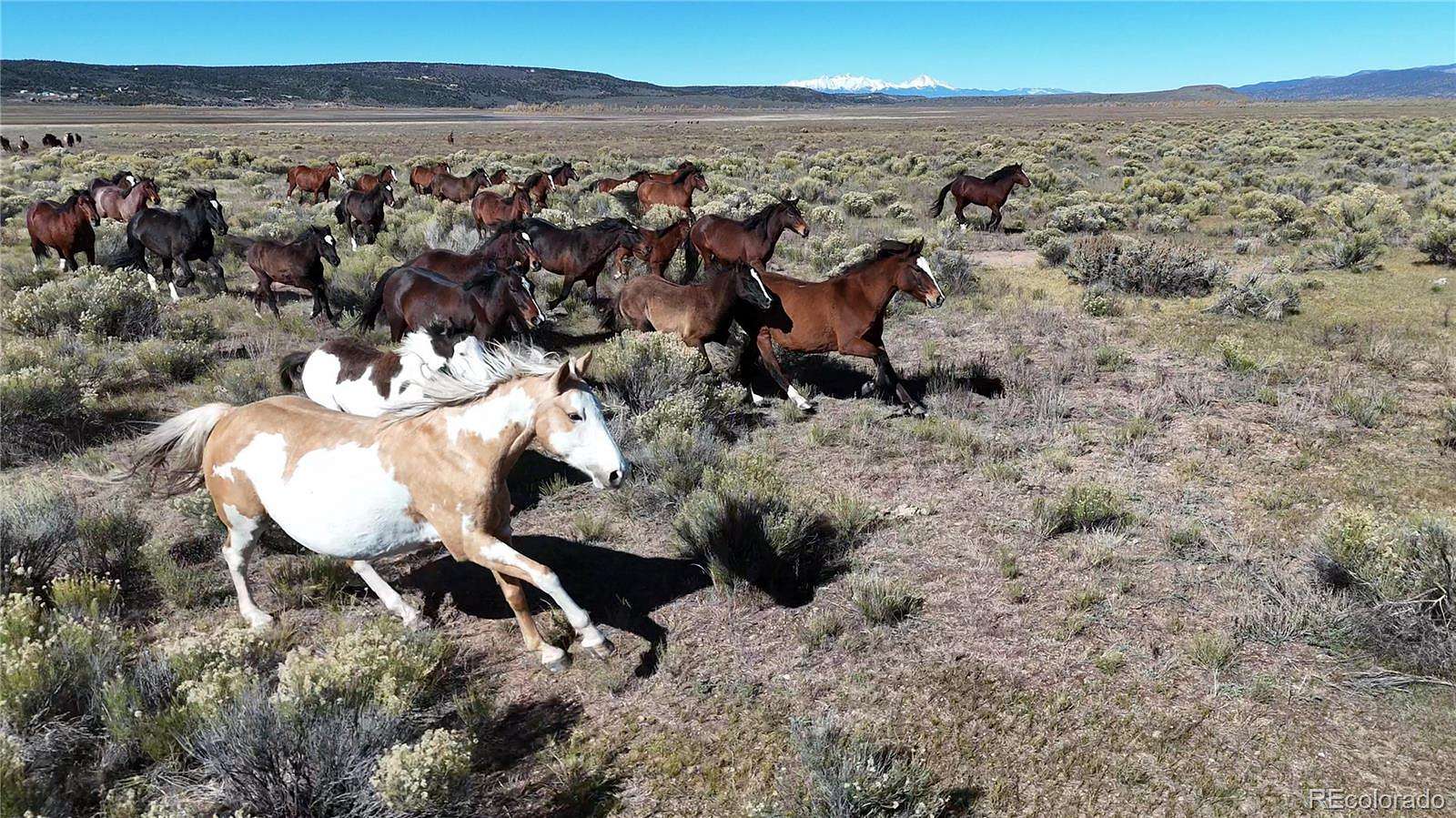 38.6 Acres of Agricultural & Residential Land for Sale in San Luis, Colorado