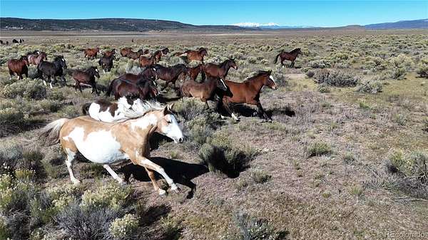 38.6 Acres of Agricultural & Residential Land for Sale in San Luis, Colorado