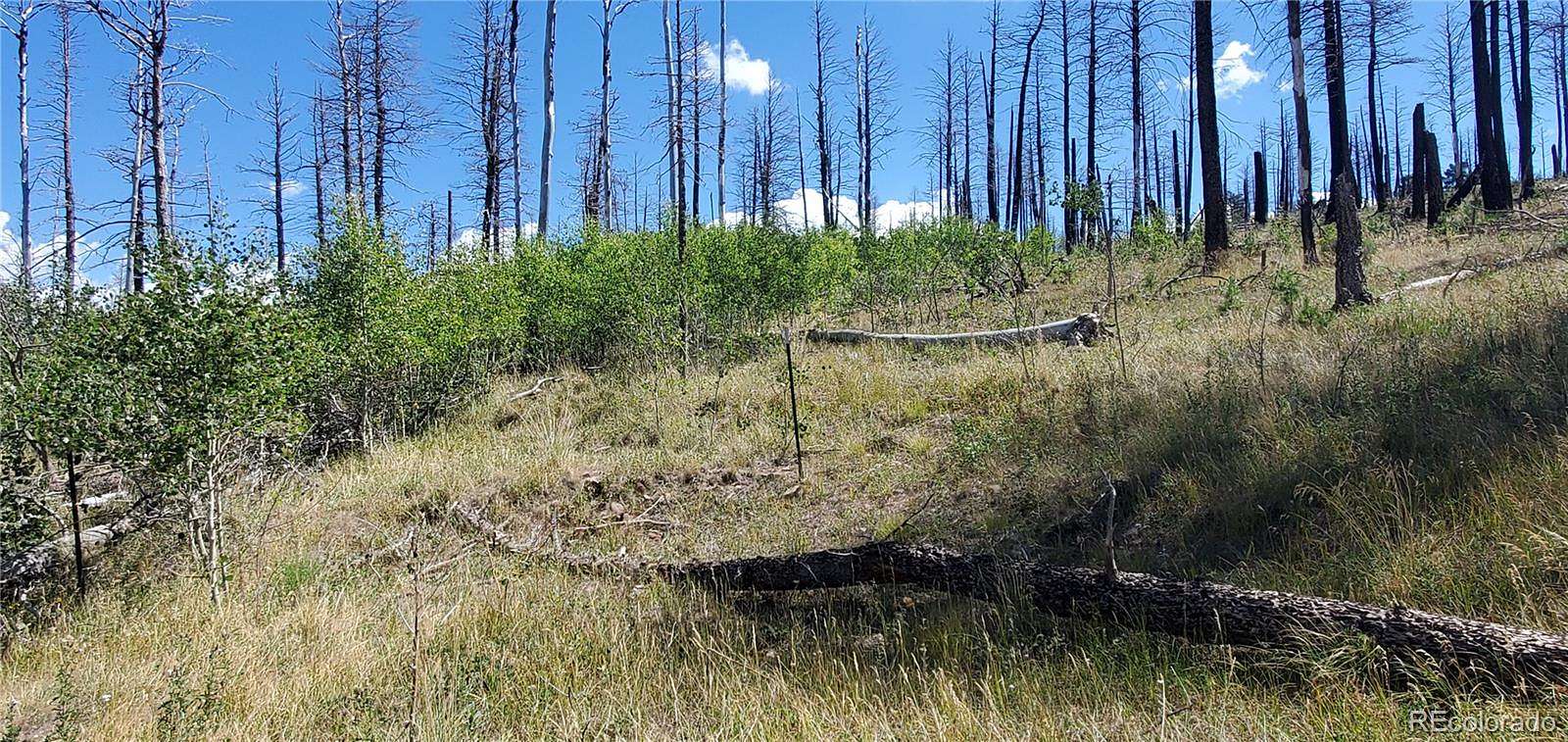 2.8 Acres of Residential Land for Sale in Fort Garland, Colorado