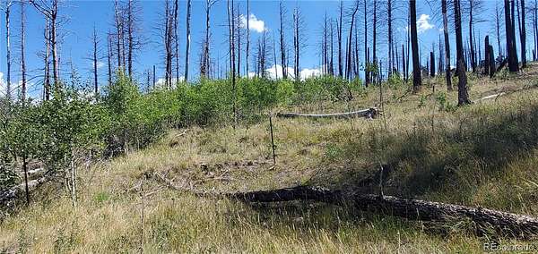 2.8 Acres of Residential Land for Sale in Fort Garland, Colorado