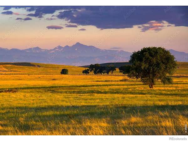 0.23 Acres of Residential Land for Sale in Longmont, Colorado