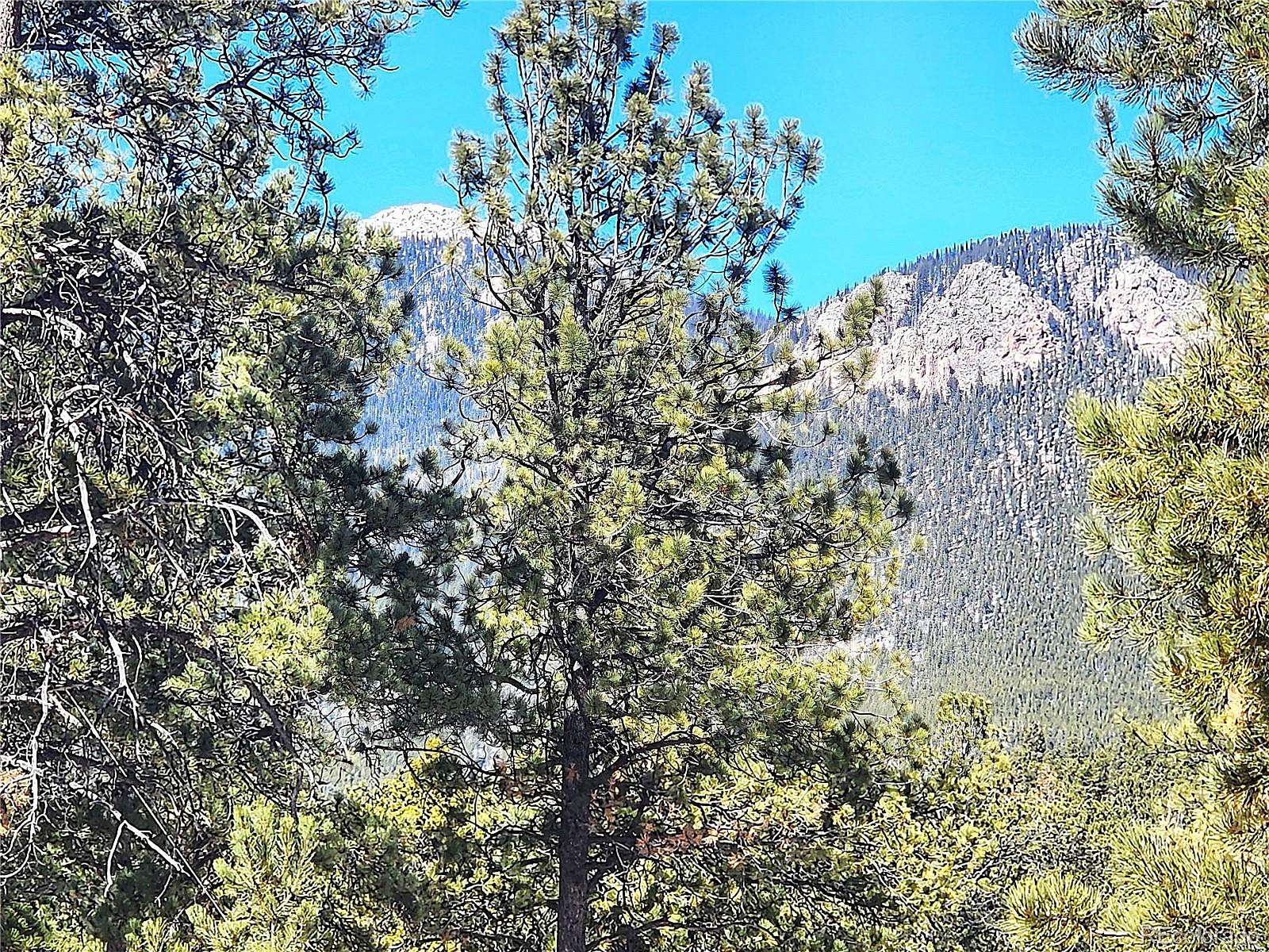 0.18 Acres of Residential Land for Sale in Bailey, Colorado