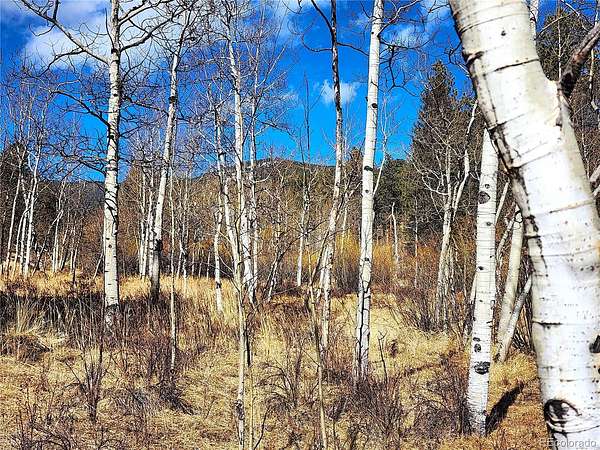 0.34 Acres of Residential Land for Sale in Bailey, Colorado