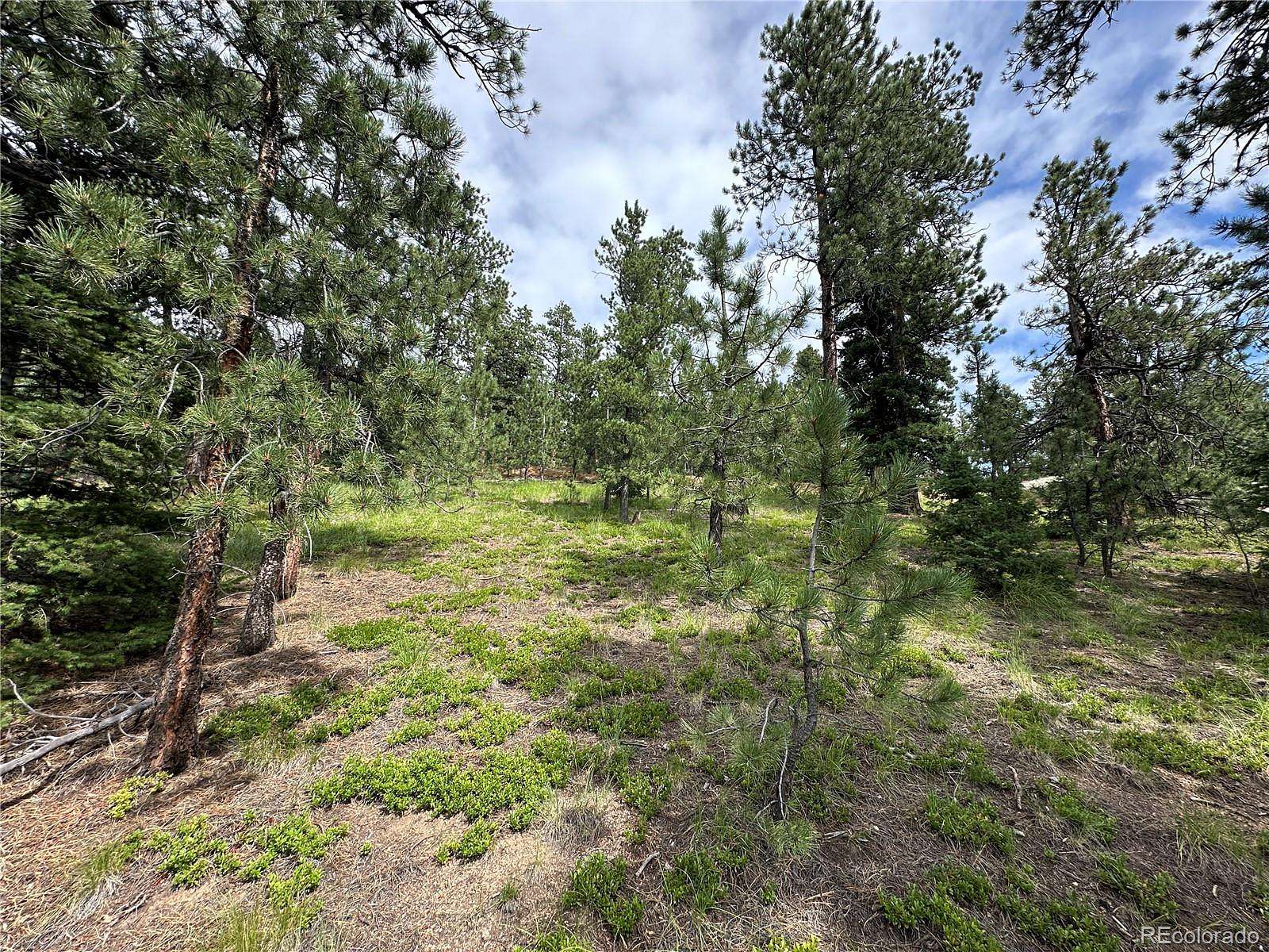 0.7 Acres of Residential Land for Sale in Manitou Springs, Colorado