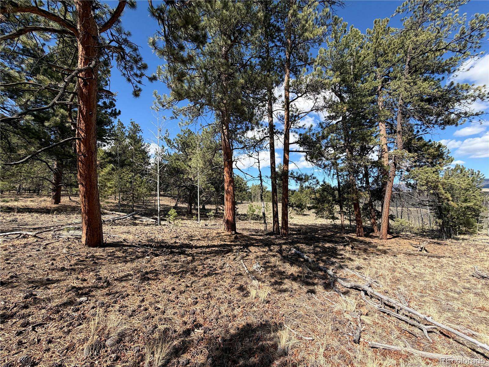 3 Acres of Residential Land for Sale in Hartsel, Colorado