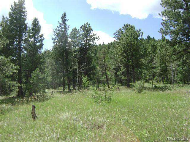 14.8 Acres of Land for Sale in Bailey, Colorado