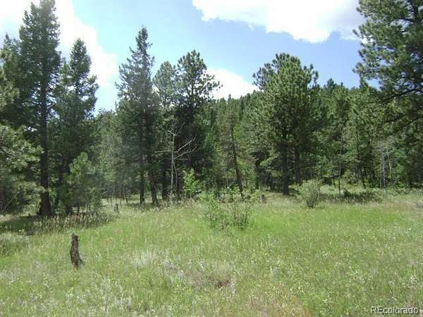 14.8 Acres of Land for Sale in Bailey, Colorado