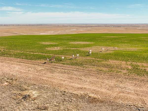 640 Acres of Land for Sale in Strasburg, Colorado