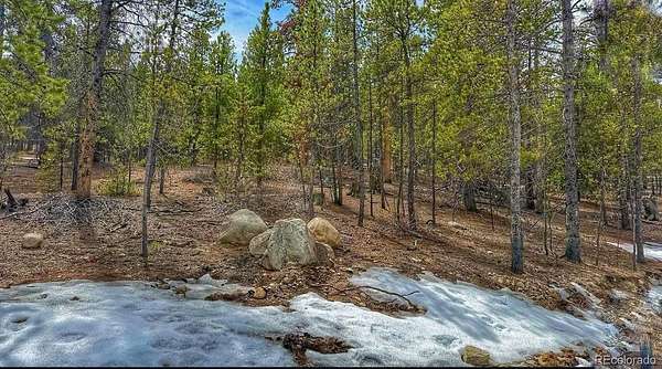 0.46 Acres of Residential Land for Sale in Twin Lakes, Colorado