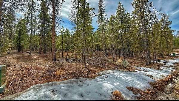 0.46 Acres of Residential Land for Sale in Twin Lakes, Colorado
