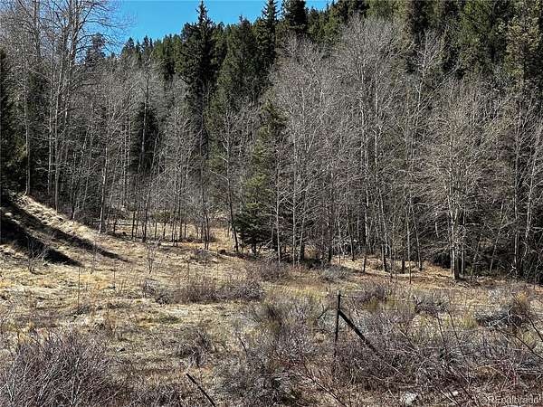 42.6 Acres of Land for Sale in Fort Garland, Colorado
